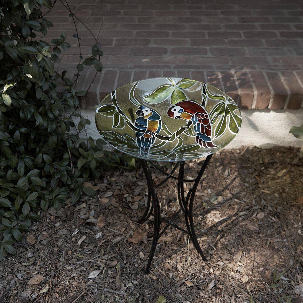 Alpine Corporation 18 in. Round Outdoor Birdbath Bowl Topper with Colorful Painted Parrot Design