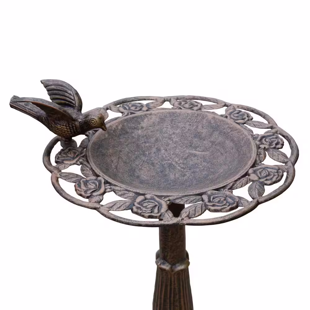 None Rose Bird Bath